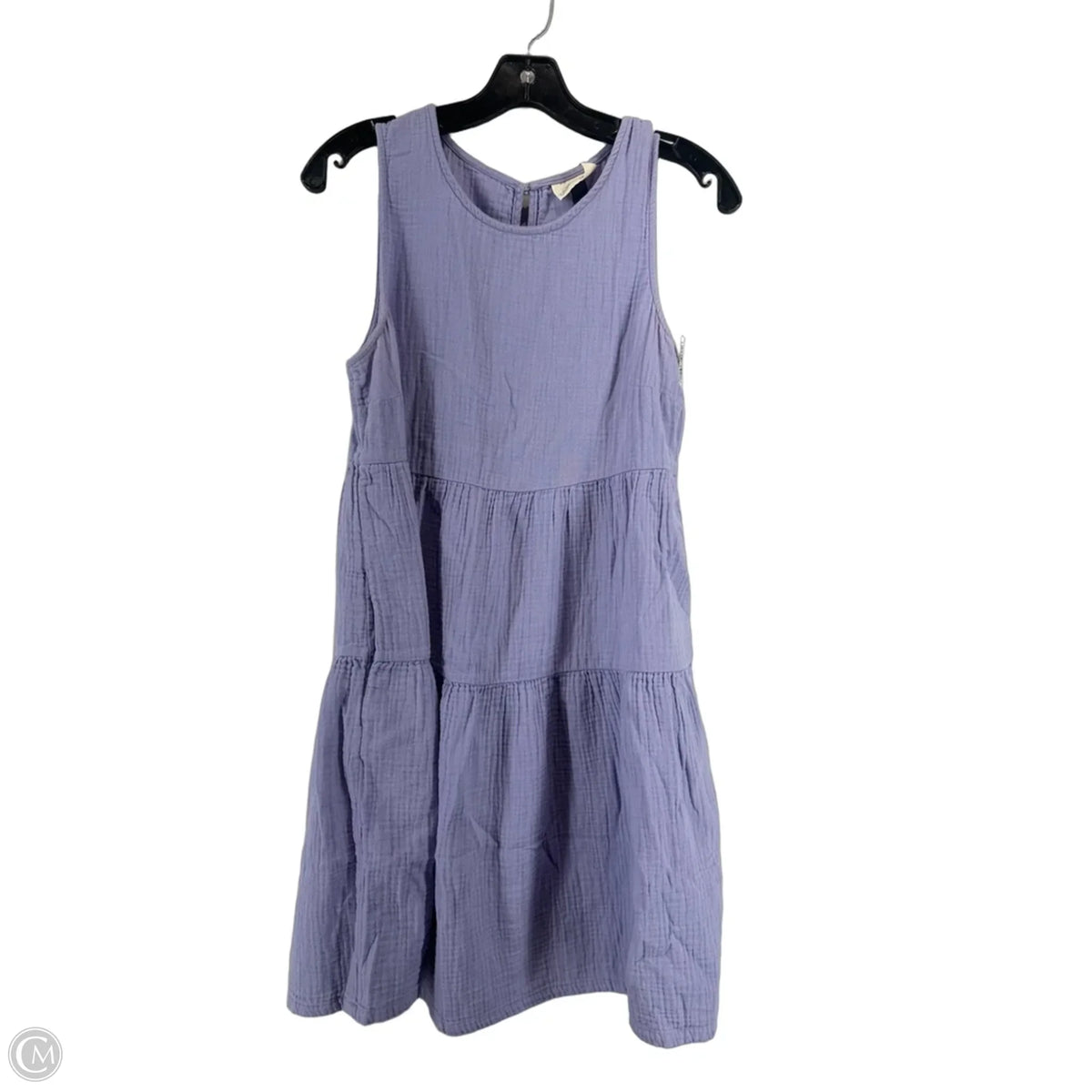 Dress Casual Short By Universal Thread In Purple, Size: S